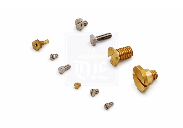 Manufacturer of Brass Precision Screws